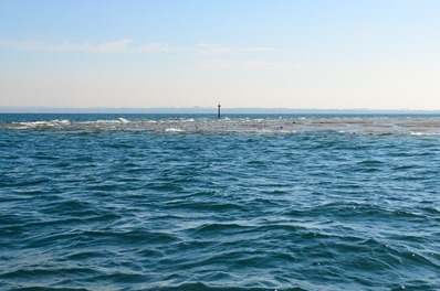 Sermoine-7