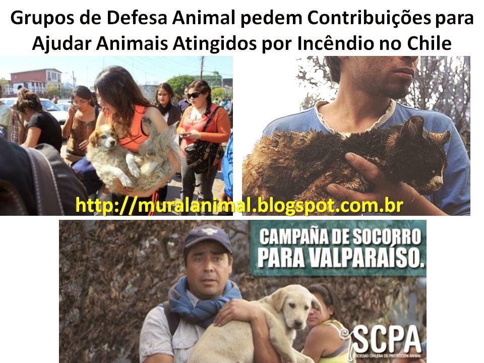 [Slide4%255B7%255D.jpg]