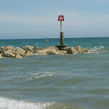 DSC01229.JPG