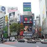 shibuya crossing with traffic in Shibuya, Japan 