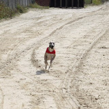 IMG_3674.JPG