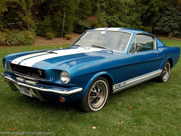 muscle-cars-classics-wallpapers-papeis-de-parede-desbaratinando-(14) muscle-cars-classics-wallpapers-papeis-de-parede-desbaratinando-(14)