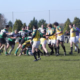 DSCN0497.JPG