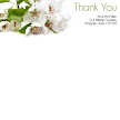 Cherry Blossom - JPGS 8 Thank You Notepaper