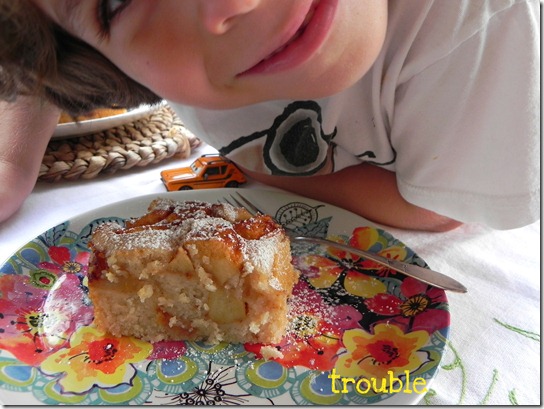 teresa's-vegan-apple-cake-4 teresa's-vegan-apple-cake-4