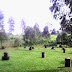 Paintball villa istana bunga-lembang bandung
