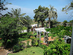 The gardens, as seen from my bedroom