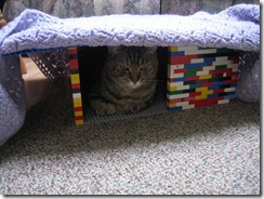 Lego-kitty-box-2386