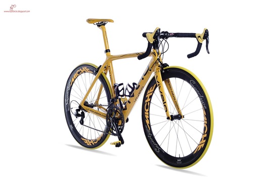 Vivelo Erg RS One of A Kind Vivelo Erg RS One of A Kind