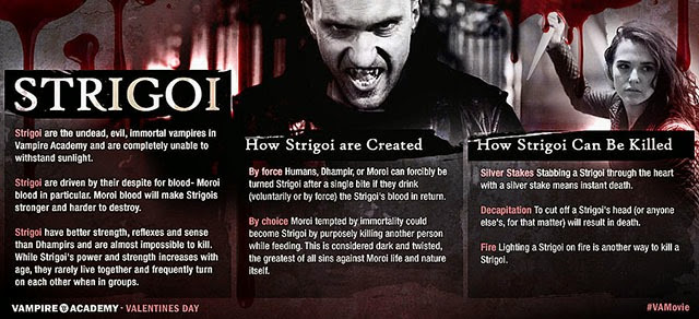 Vampire Academy kisokos-640