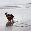 _MG_6634.jpg
