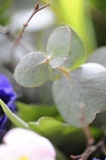 20120223_100853
