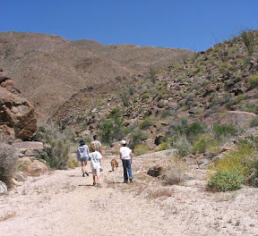 Hiking up the East Fork side canyon.