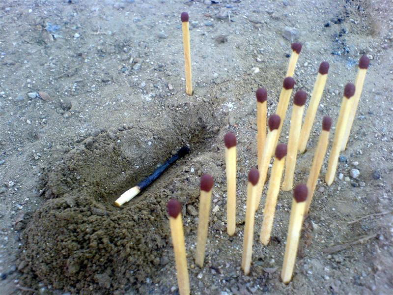 Self-explanatory Shots