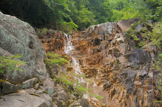 忘鱗の滝