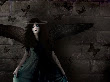 Holy Shadow