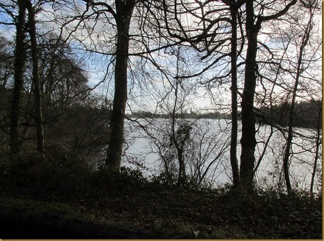 IMG_3164 IMG_3164