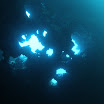 maui underwater 08 116.JPG