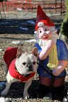 OK, Mr. Gnome - I'll grant your request - but just one photo!
