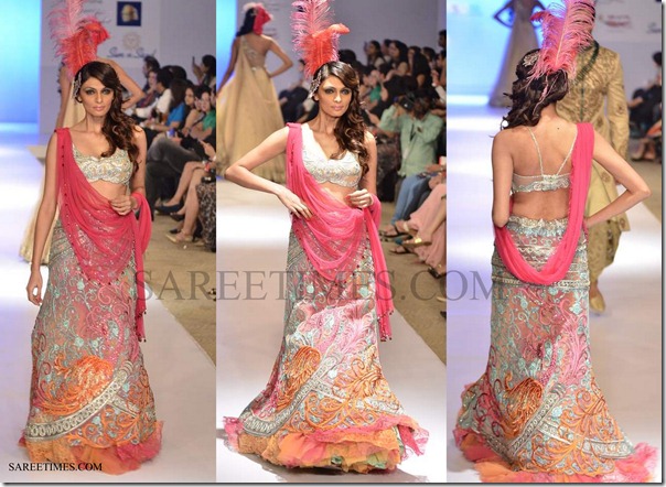 Anjali_Arjun_Kapoor_Sari
