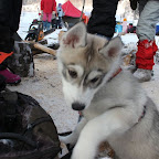 2011-snejinka-42.jpg
