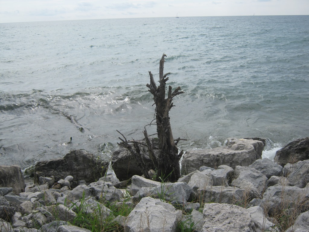 [IMG_1504%255B4%255D.jpg]