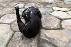 Oh, there it is!  That's the spot!