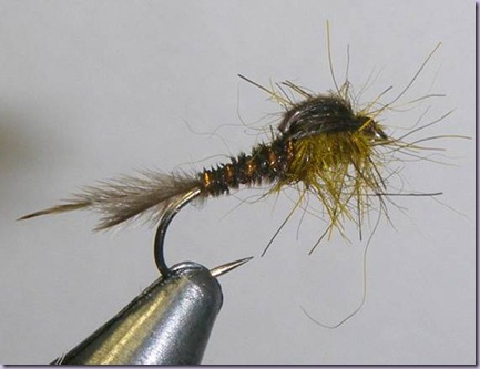 clip_image024 clip_image024