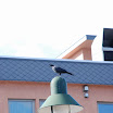 hokkaido_203.jpg