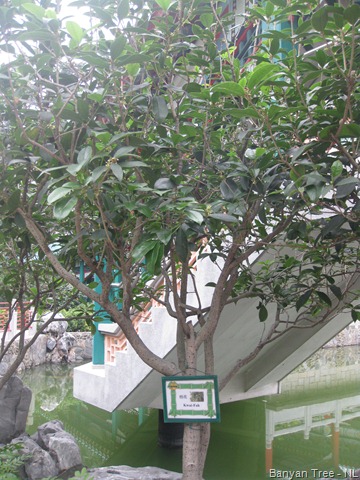 [imgi_0098281.jpg]