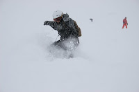 IMG_3445.JPG