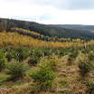 PB110030.jpg