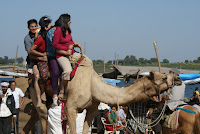 DSC05873.JPG