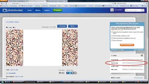 step3c_photobucket step3c_photobucket