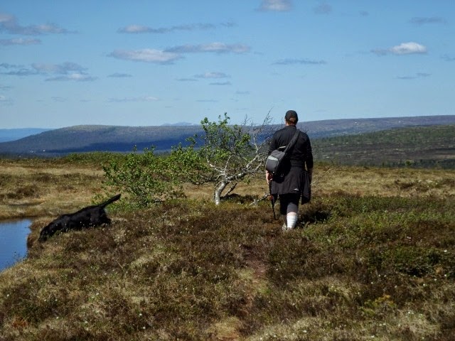 salen 026 (640x480) salen 026 (640x480)