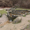 źródełko dsc05897.jpg