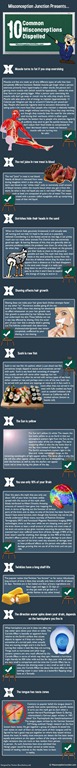 [MJ-Infographic-Final1%255B3%255D.jpg]