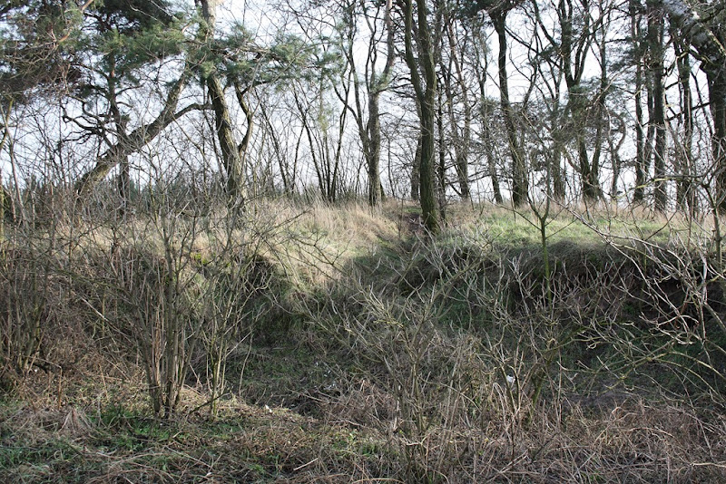 IMG_2645 IMG_2645