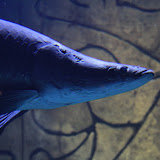 IMG_4738.JPG