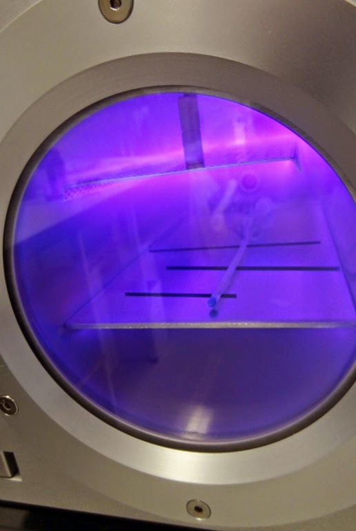 [DSC00828-874x13005.jpg]