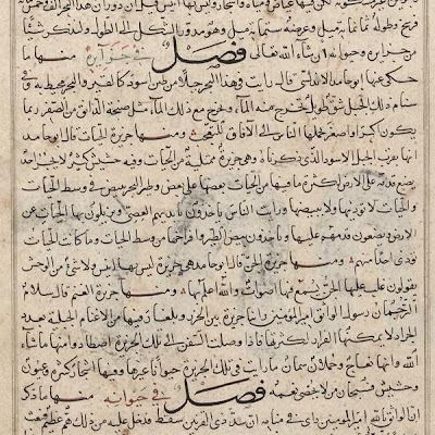 Folio from a Aja'ib al-makhluqat (Wonders of Creation) by al-Qazvini | Origin: Possibly Baghdad, Iraq or Eastern Turkey | Period: early 15th century | Details: Not Available | Type: Opaque watercolor, ink, gold and silver on paper | Size: H: 32.7 W: 22.4 cm | Museum Code: F1954.67 | Photograph and description taken from Freer and the Sackler (Smithsonian) Museums. 7efa9eeb74ed430a83b23539c4ba6337.jpg