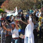DSC_1331.JPG
