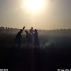 Albuera 1811-2011 PiotrZurek-931.jpg