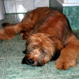 Abi - DSC_0001.JPG