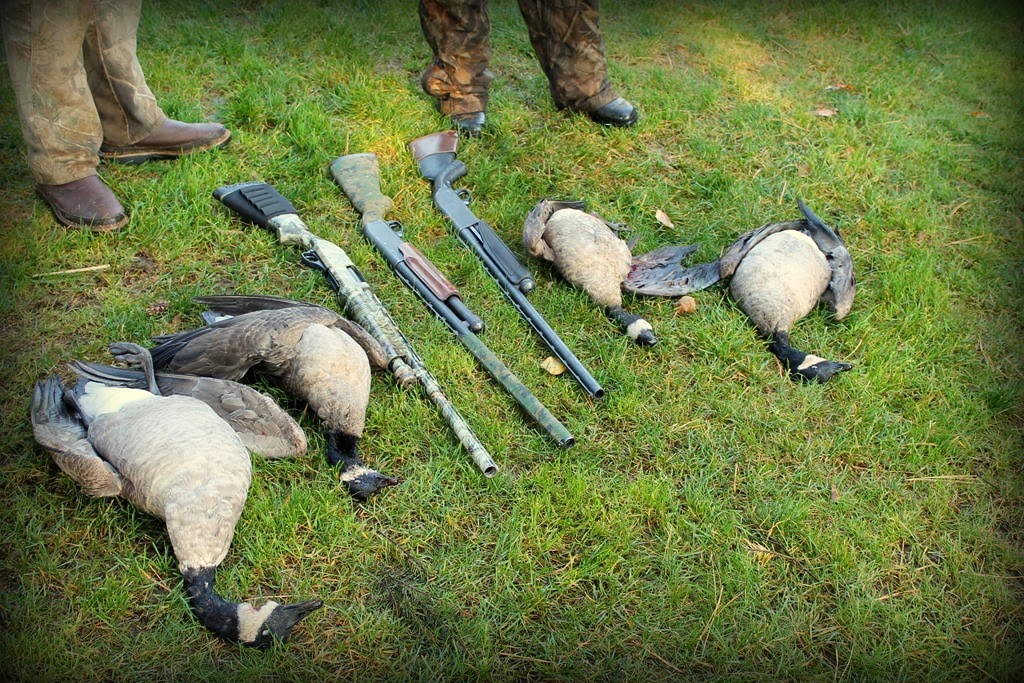 [IMG_5293%255B4%255D.jpg]