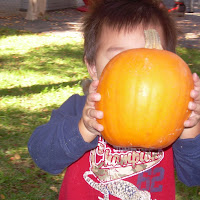 On Campus Pumpkin Patch