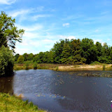 DSCF7038.jpg