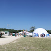 IMG_1226.jpg