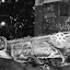 100_1898_DXO.jpg