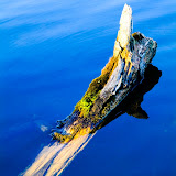 MartinChumieckiPhotos MartinChumieckiPhotos